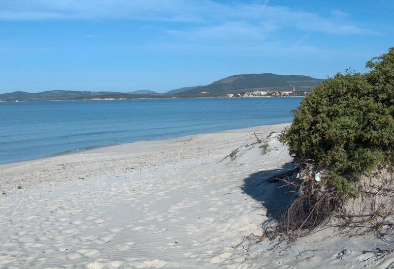 Appartamento A Pochi Passi Dalla Spiaggia Альгеро Экстерьер фото