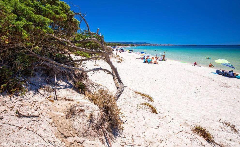 Appartamento A Pochi Passi Dalla Spiaggia Альгеро Экстерьер фото